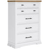 Ashbryn Chest of Drawer
