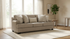 Velvet Beast Sofa