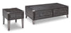 Todoe Coffee Table Set (Lift Top Coffee Table + 2 End Tables)
